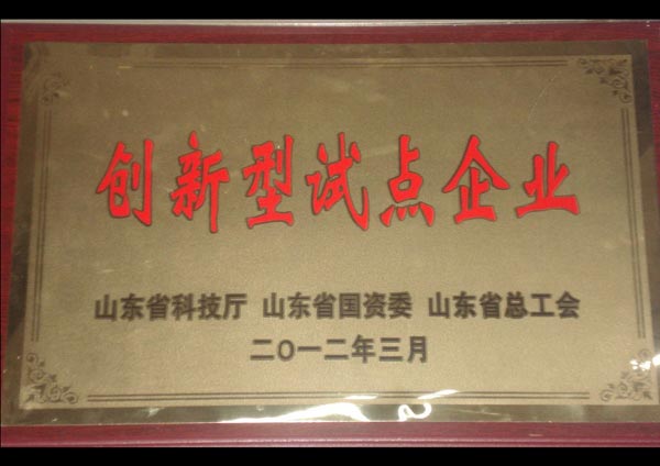 創(chuàng)新型試點企業(yè)