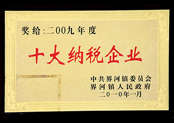 十大納稅企業(yè)
